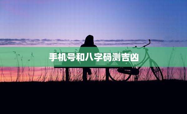 手机号和八字码测吉凶