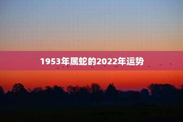 1953年属蛇的2022年运势