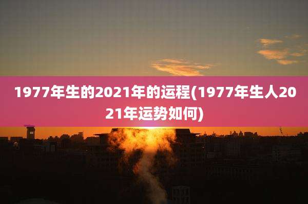 1977年生的2021年的运程(1977年生人2021年运势如何)
