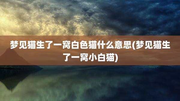 梦见猫生了一窝白***什么意思(梦见猫生了一窝小白猫)
