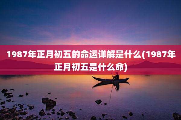 1987年正月初五的命运详解是什么(1987年正月初五是什么命)