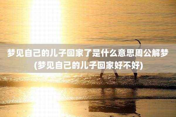 梦见自己的儿子回家了是什么意思周公解梦(梦见自己的儿子回家好不好)