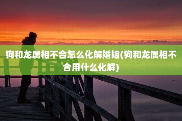 狗和龙属相不合怎么化解婚姻(狗和龙属相不合用什么化解)