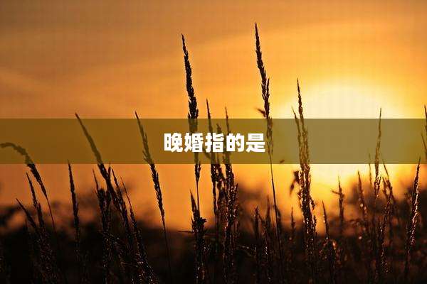 晚婚指的是