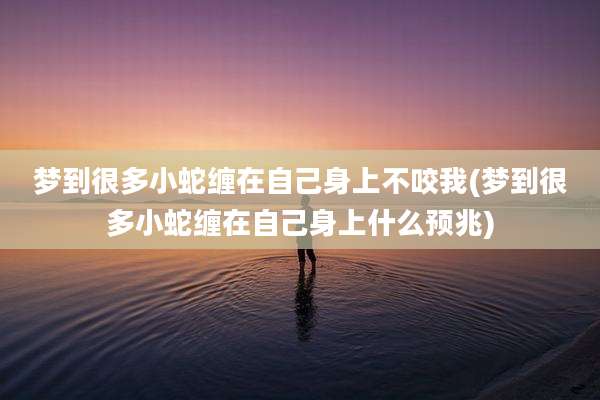 梦到很多小蛇缠在自己身上不咬我(梦到很多小蛇缠在自己身上什么预兆)