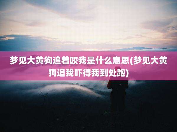梦见大黄狗追着咬我是什么意思(梦见大黄狗追我吓得我到处跑)