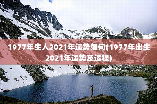 1977年生人2021年运势如何(1977年出生2021年运势及运程)
