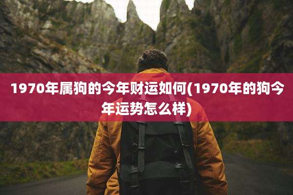 1970年属狗的今年财运如何(1970年的狗今年运势怎么样)