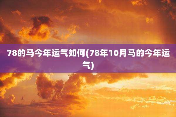78的马今年运气如何(78年10月马的今年运气)