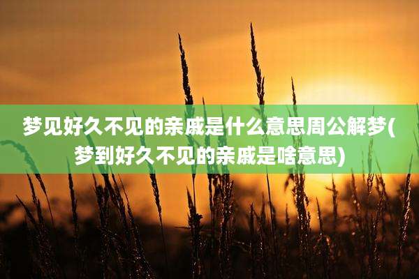 梦见好久不见的亲戚是什么意思周公解梦(梦到好久不见的亲戚是啥意思)