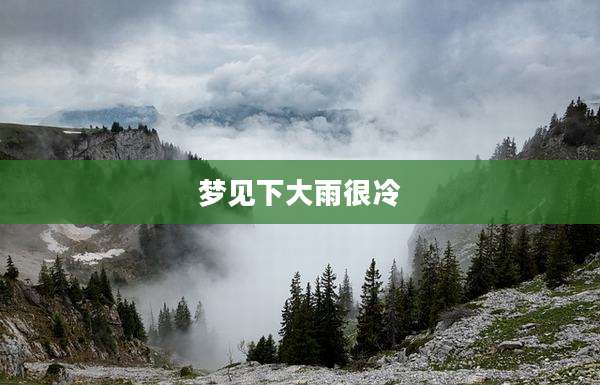 梦见下大雨很冷
