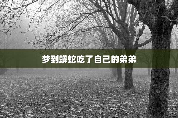 梦到蟒蛇吃了自己的弟弟