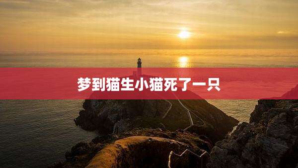 梦到猫生小猫死了一只