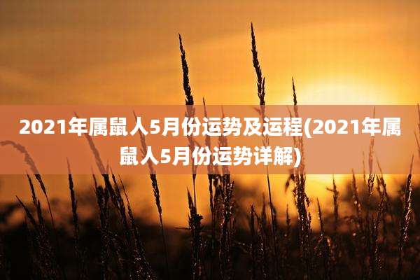 2021年属鼠人5月份运势及运程(2021年属鼠人5月份运势详解)