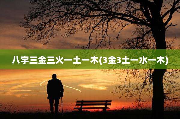 八字三金三火一土一木(3金3土一水一木)