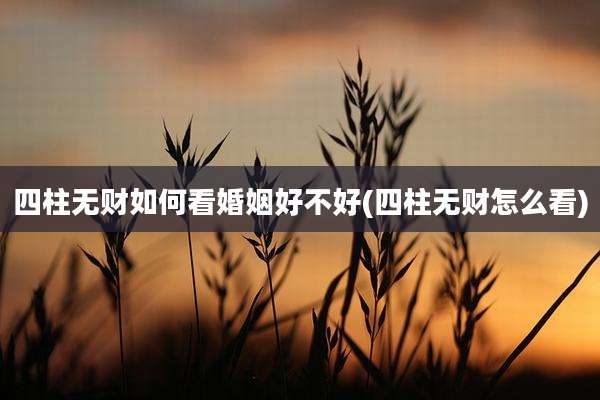 四柱无财如何看婚姻好不好(四柱无财怎么看)
