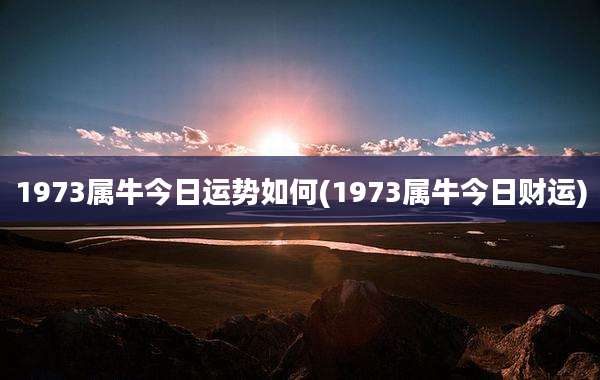 1973属牛今日运势如何(1973属牛今日财运)