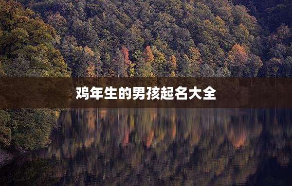 鸡年生的男孩起名大全