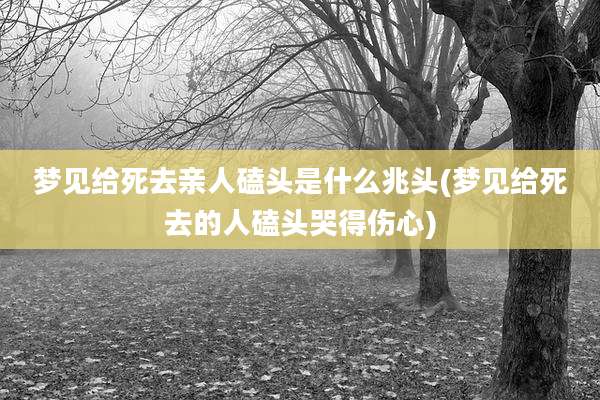梦见给死去亲人磕头是什么兆头(梦见给死去的人磕头哭得伤心)