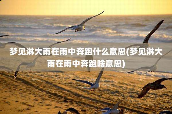 梦见淋大雨在雨中奔跑什么意思(梦见淋大雨在雨中奔跑啥意思)