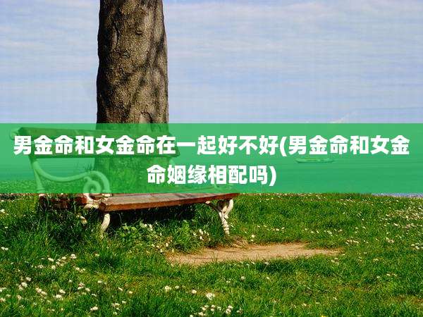 男金命和女金命在一起好不好(男金命和女金命姻缘相配吗)