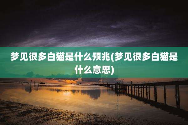 梦见很多白猫是什么预兆(梦见很多白猫是什么意思)