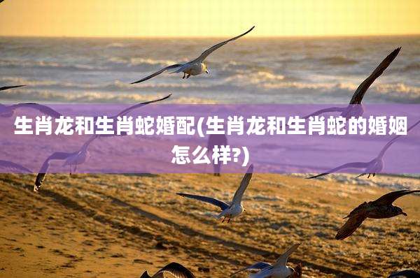 生肖龙和生肖蛇婚配(生肖龙和生肖蛇的婚姻怎么样?)