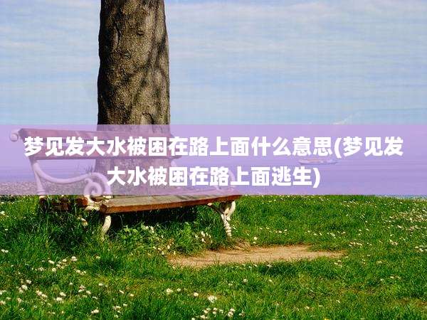梦见发大水被困在路上面什么意思(梦见发大水被困在路上面逃生)