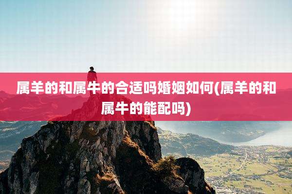 属羊的和属牛的合适吗婚姻如何(属羊的和属牛的能配吗)