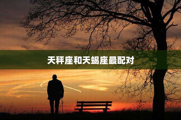天秤座和天蝎座最配对