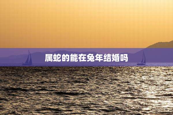 属蛇的能在兔年结婚吗