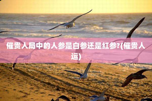 催贵人局中的人参是白参还是红参?(催贵人运)