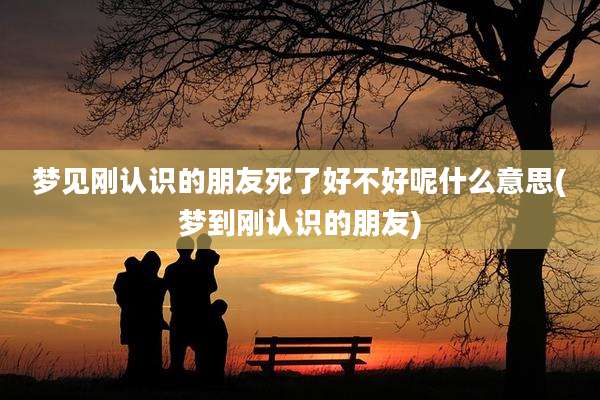 梦见刚认识的朋友死了好不好呢什么意思(梦到刚认识的朋友)