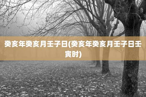 癸亥年癸亥月壬子日(癸亥年癸亥月壬子日壬寅时)