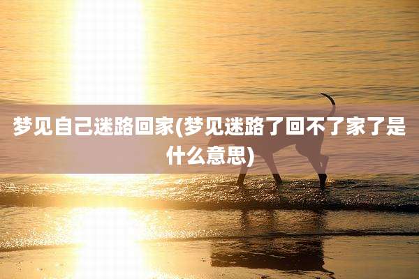 梦见自己迷路回家(梦见迷路了回不了家了是什么意思)