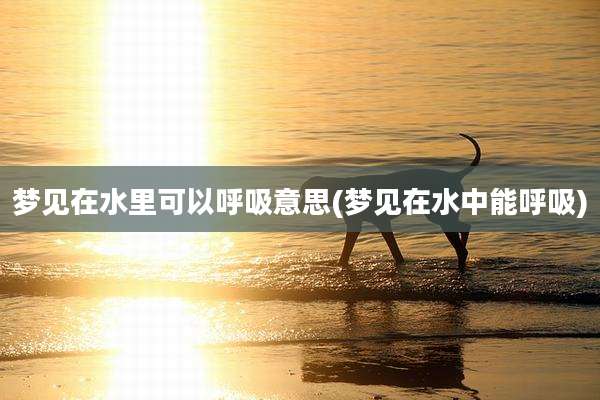 梦见在水里可以呼吸意思(梦见在水中能呼吸)
