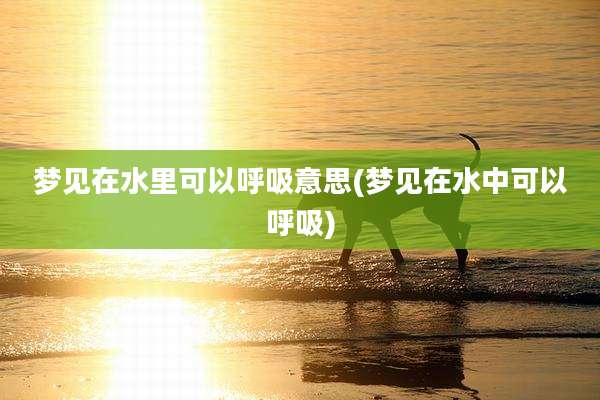 梦见在水里可以呼吸意思(梦见在水中可以呼吸)