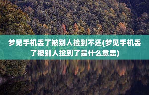 梦见手机丢了被别人捡到不还(梦见手机丢了被别人捡到了是什么意思)