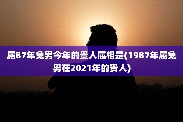 属87年兔男今年的贵人属相是(1987年属兔男在2021年的贵人)