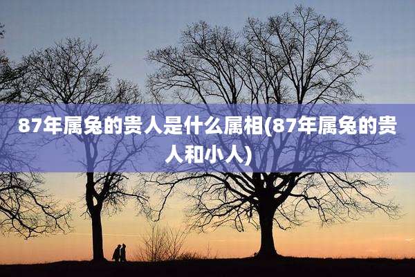 87年属兔的贵人是什么属相(87年属兔的贵人和小人)