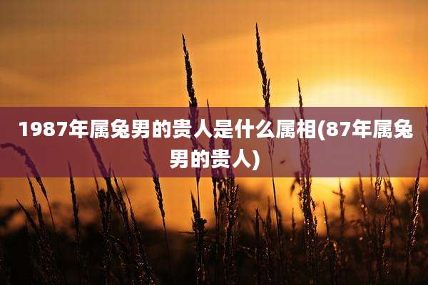 1987年属兔男的贵人是什么属相(87年属兔男的贵人)