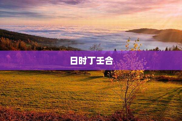 日时丁壬合