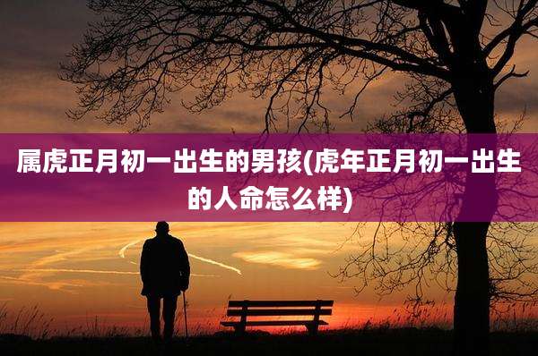属虎正月初一出生的男孩(虎年正月初一出生的人命怎么样)