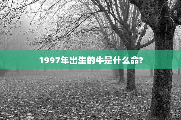 1997年出生的牛是什么命?