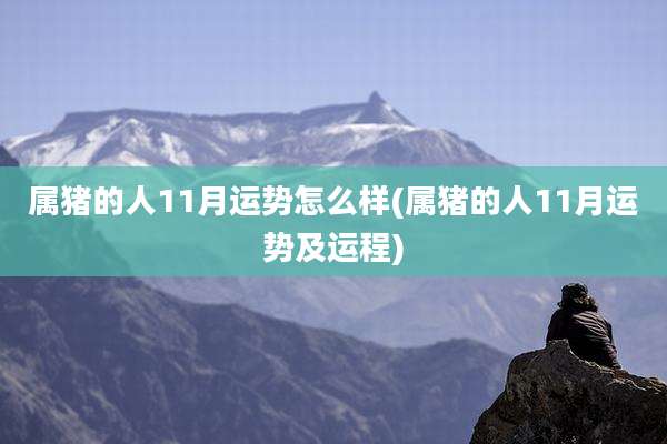 属猪的人11月运势怎么样(属猪的人11月运势及运程)