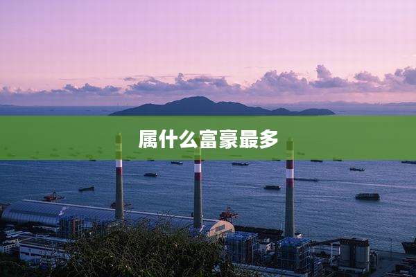 属什么富豪最多