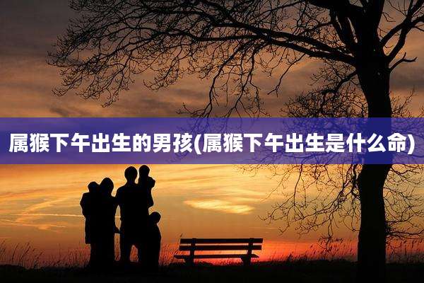 属猴下午出生的男孩(属猴下午出生是什么命)