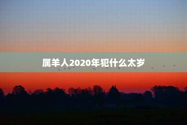 属羊人2020年犯什么太岁