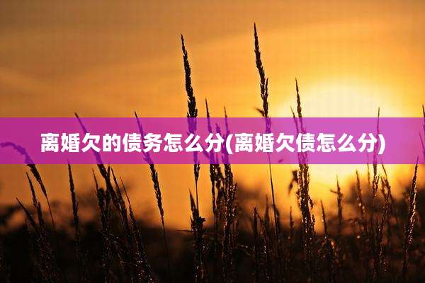 离婚欠的债务怎么分(离婚欠债怎么分)