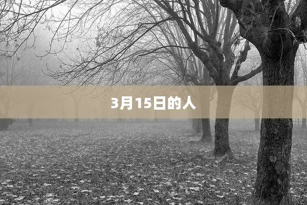 3月15日的人